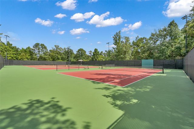 190 Climbing Oaks Place, Montgomery, TX 77316