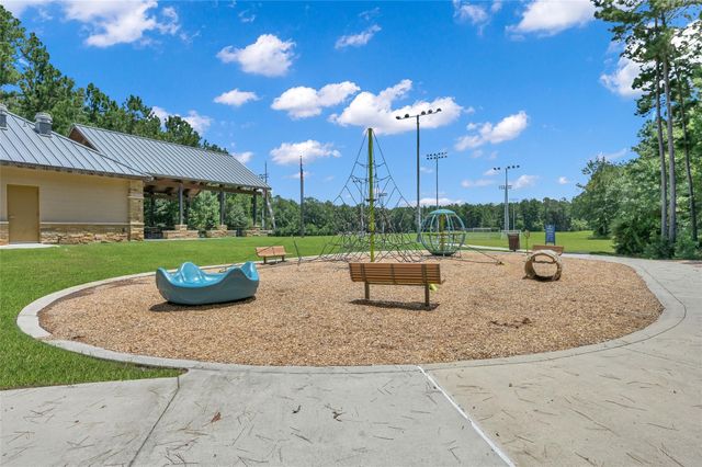190 Climbing Oaks Place, Montgomery, TX 77316