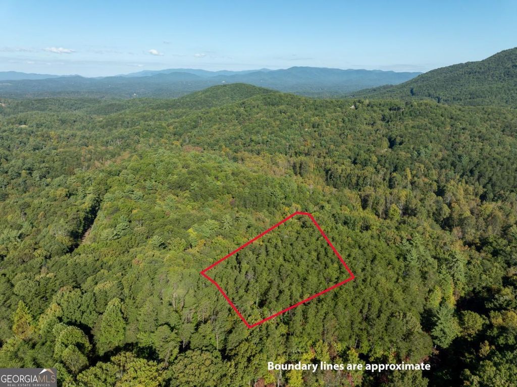TRACT 1 Turniptown Road, Ellijay, GA 30536
