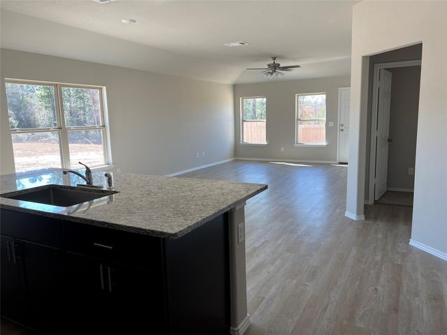 168 Ashe Juniper Way, Montgomery, TX 77354