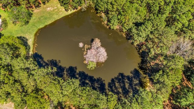 14419 Timbergreen Drive, Magnolia, TX 77355