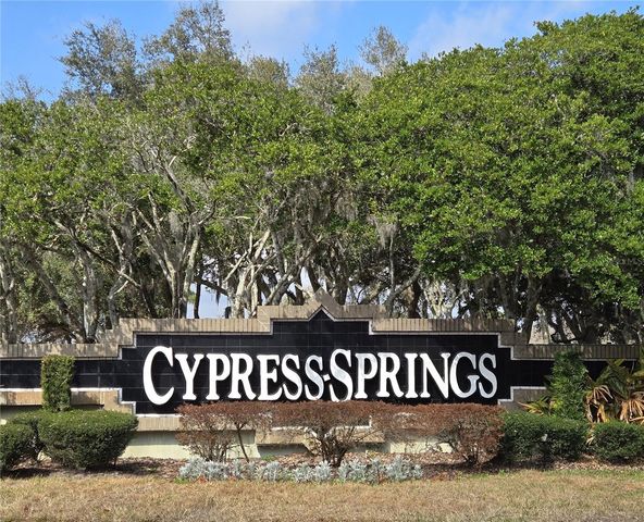 10704 SATINWOOD CIRCLE, Orlando, FL 32825