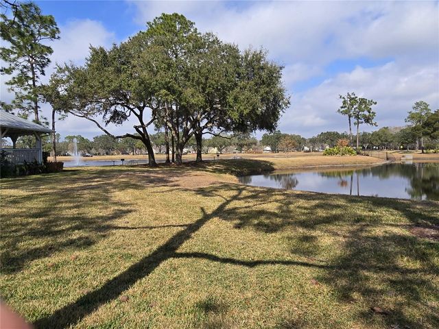 10704 SATINWOOD CIRCLE, Orlando, FL 32825