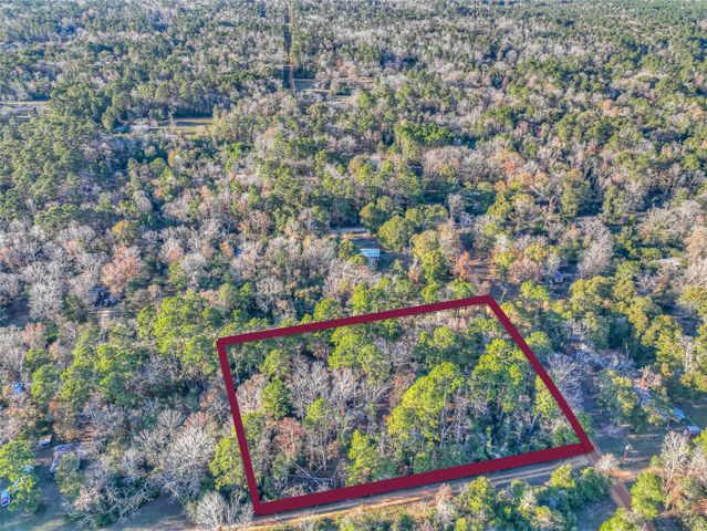 156 Bald Eagle Drive, Livingston, TX 77351