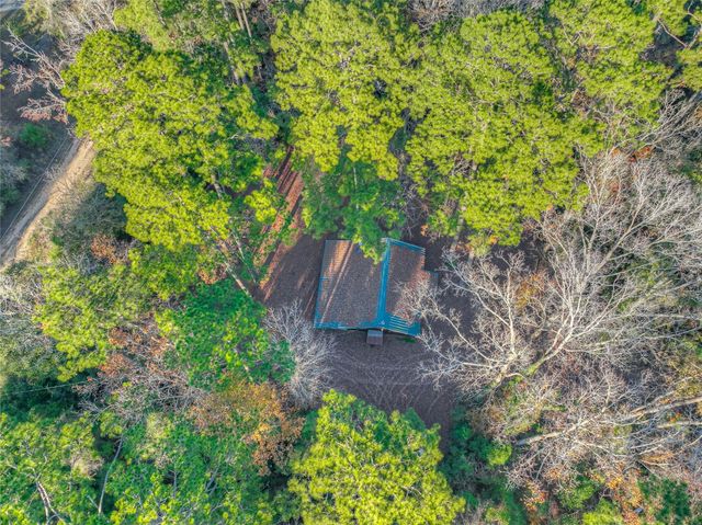 156 Bald Eagle Drive, Livingston, TX 77351