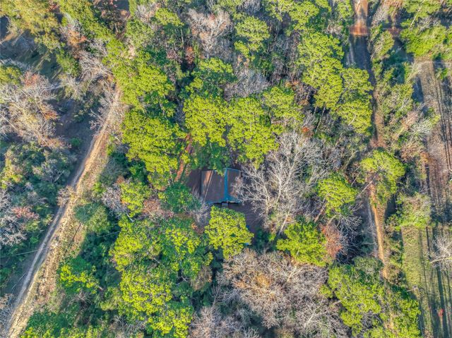 156 Bald Eagle Drive, Livingston, TX 77351
