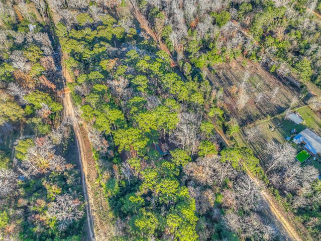 156 Bald Eagle Drive, Livingston, TX 77351