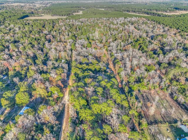 156 Bald Eagle Drive, Livingston, TX 77351