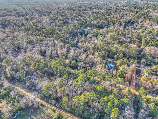 156 Bald Eagle Drive, Livingston, TX 77351