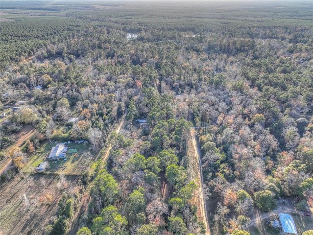 156 Bald Eagle Drive, Livingston, TX 77351