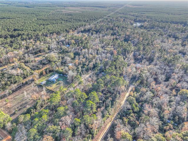 156 Bald Eagle Drive, Livingston, TX 77351