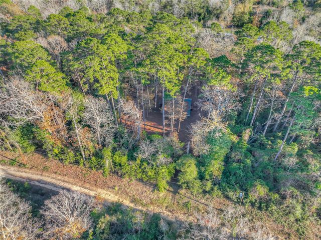 156 Bald Eagle Drive, Livingston, TX 77351