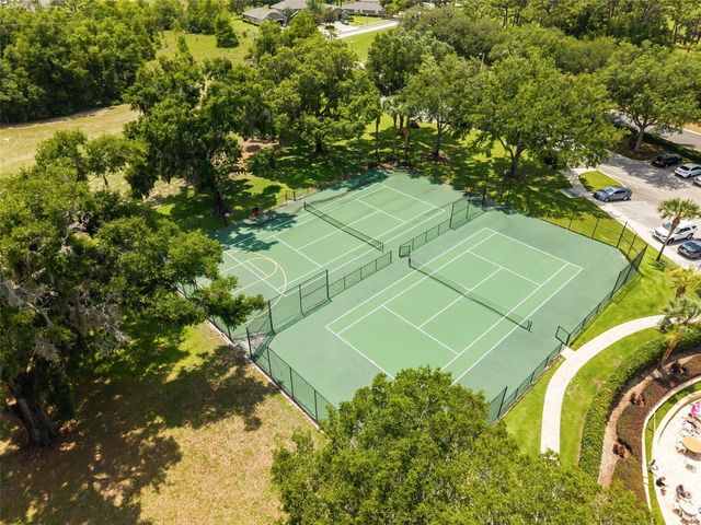 34004 ALAMEDA DRIVE, Sorrento, FL 32776