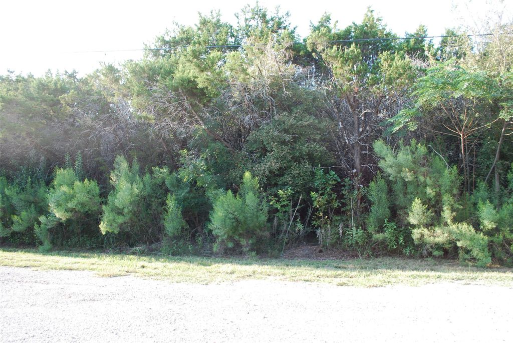 30075 Woodcrest Drive, Whitney, TX 76692