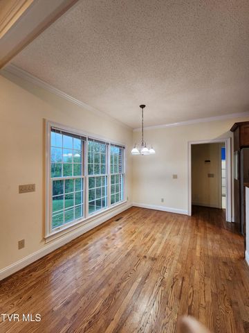 13903 Vintage View, Abingdon, VA 24210
