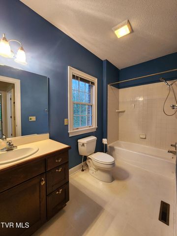 13903 Vintage View, Abingdon, VA 24210