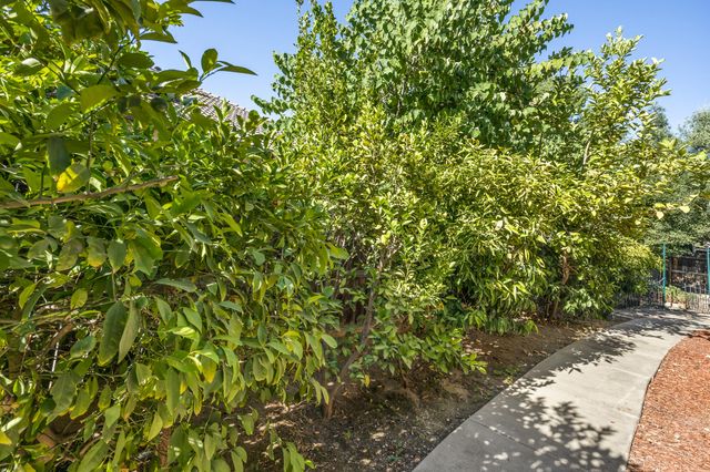 3624 N Jackie Street, Visalia, CA 93291