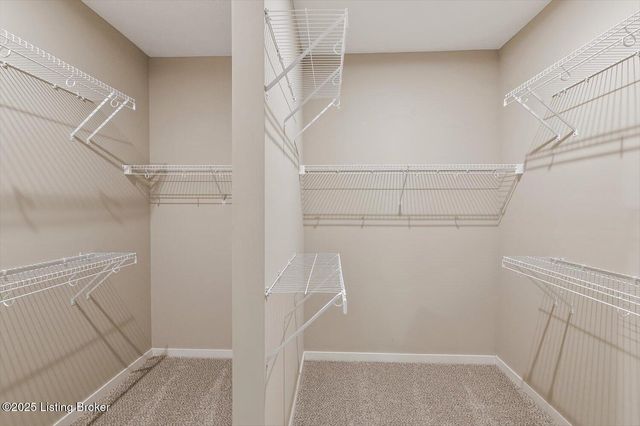 10509 Vista View Dr, Louisville, KY 40291