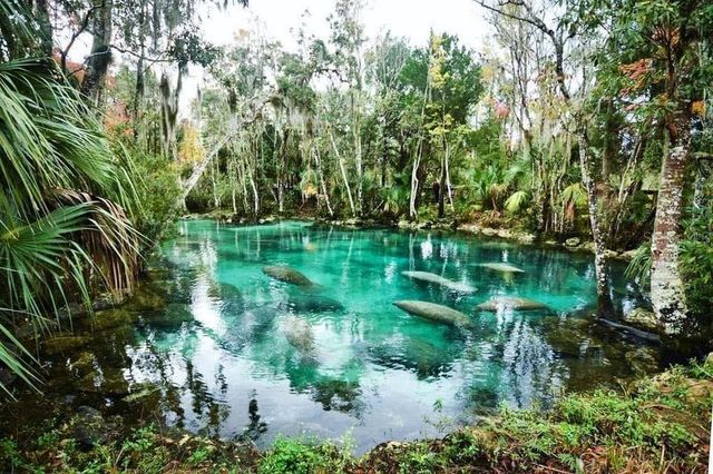 11108 W THOREAU PLACE, Crystal River, FL 34428