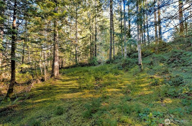 50 N Standstill Drive S, Hoodsport, WA 98548