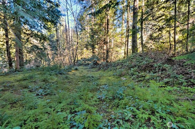 50 N Standstill Drive S, Hoodsport, WA 98548