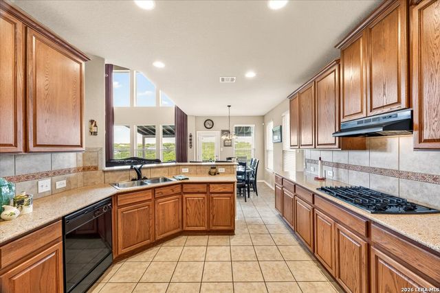 24819 Catalan Clf, San Antonio, TX 78261