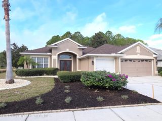 617 Glastonbury Court, Spring Hill, FL 34609