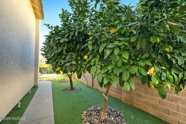 780 S Shadow Tree Place, Tucson, AZ 85748