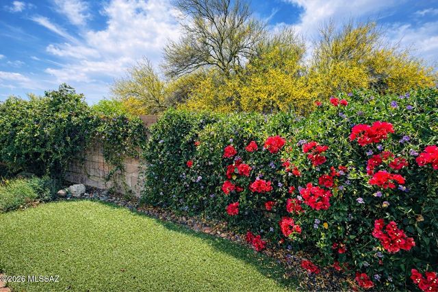 780 S Shadow Tree Place, Tucson, AZ 85748