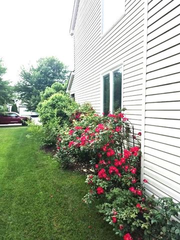 1616 STANTON Lane, Plainfield, IL 60586