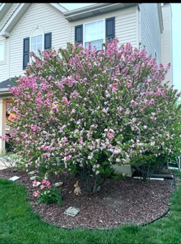 1616 STANTON Lane, Plainfield, IL 60586