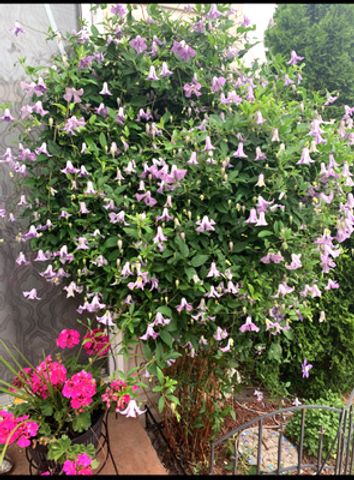 1616 STANTON Lane, Plainfield, IL 60586