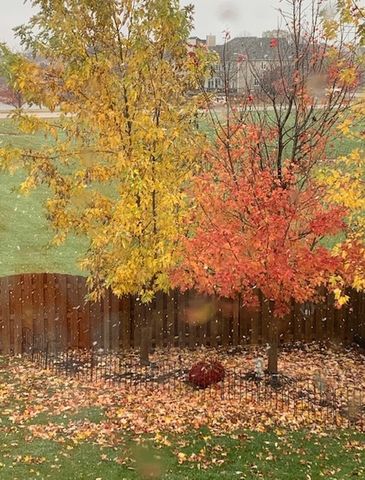 1616 STANTON Lane, Plainfield, IL 60586