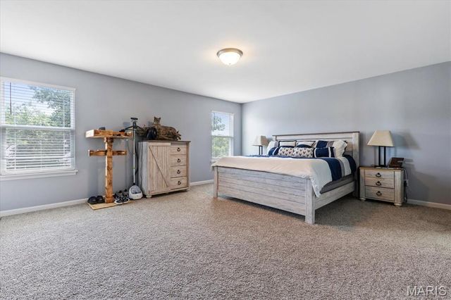 228 Burrograss Drive, Wentzville, MO 63385