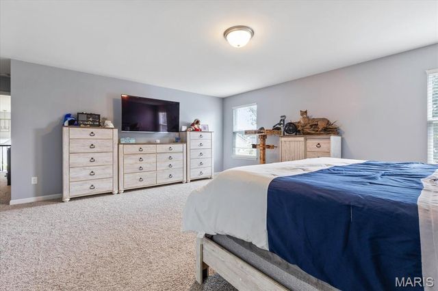 228 Burrograss Drive, Wentzville, MO 63385