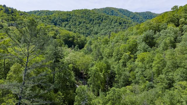 4700 W Buffalo Road, Robbinsville, NC 28771