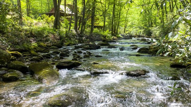 4700 W Buffalo Road, Robbinsville, NC 28771