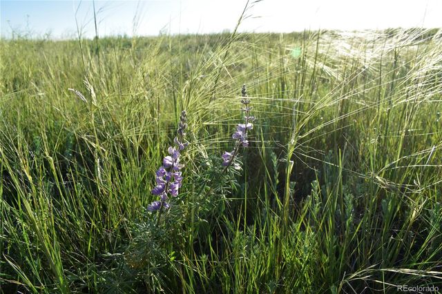 9545 N Yoder Road, Calhan, CO 80808