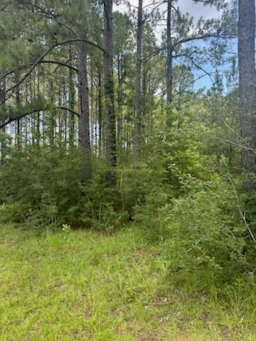 0 Longleaf Dr., Petal, MS 39465