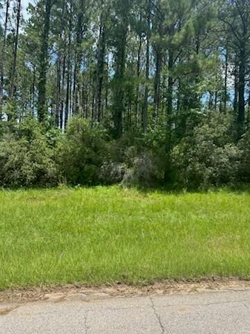 0 Longleaf Dr., Petal, MS 39465