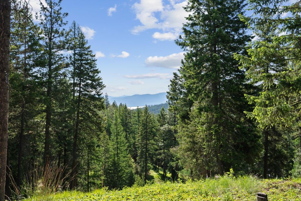 205 Muley Road, Lakeside, MT 59922 photo 29