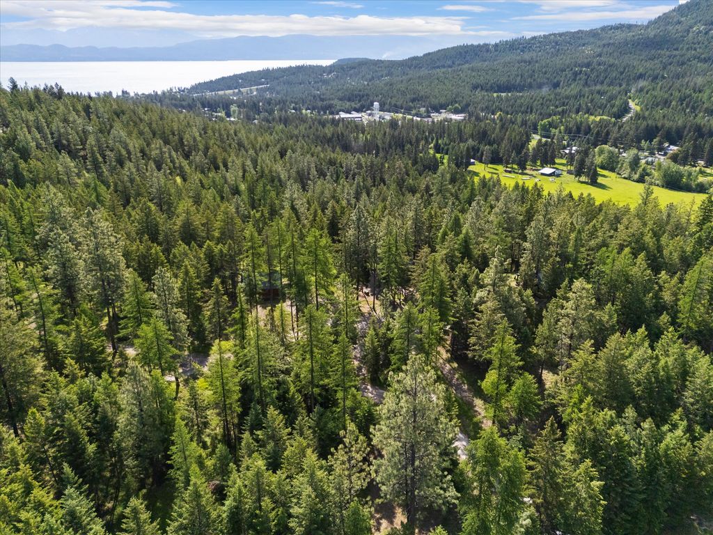 205 Muley Road, Lakeside, MT 59922 photo 39