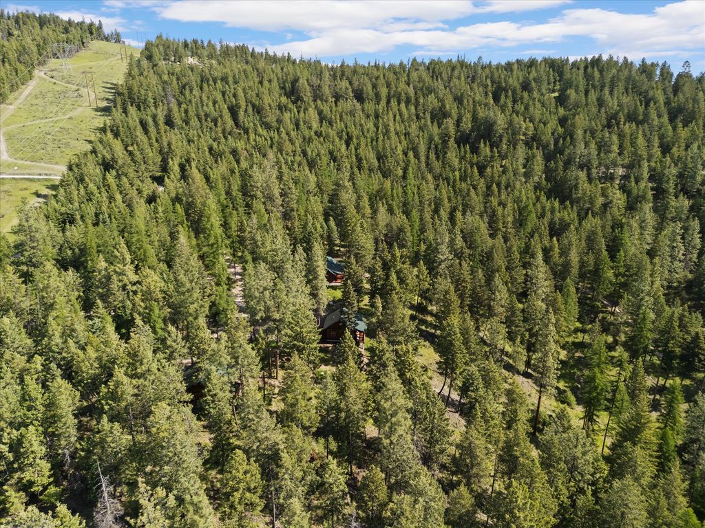 205 Muley Road, Lakeside, MT 59922 photo 40