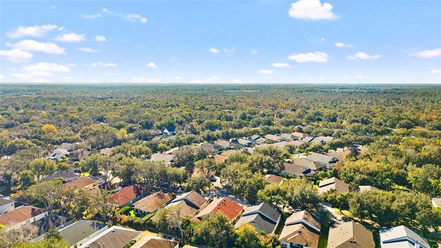 15501 MARTINMEADOW DRIVE, Lithia, FL 33547
