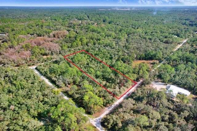 7292 SONIA AVENUE, Webster, FL 33597