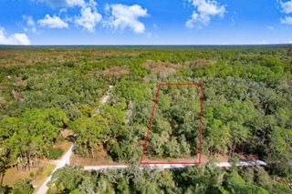 7292 SONIA AVENUE, Webster, FL 33597