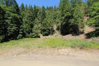 french peak road 405, Cave Junction, OR 97523