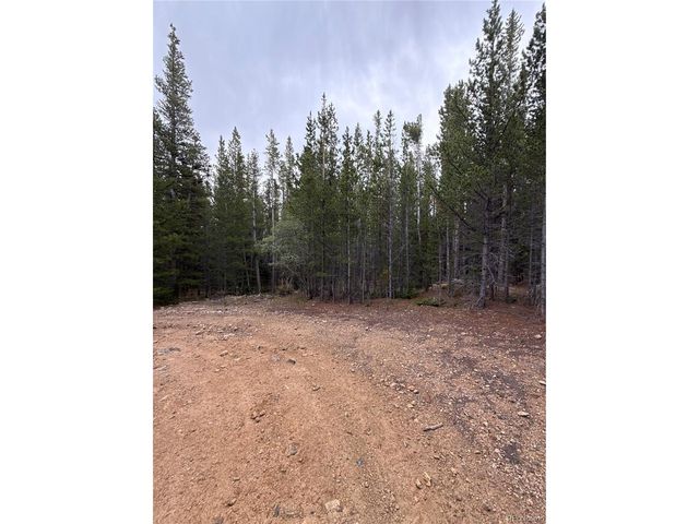 111 Green Ct, Idaho Springs, CO 80452