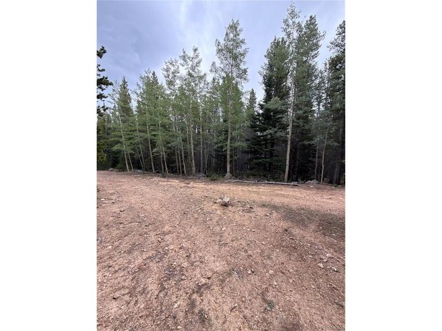 111 Green Ct, Idaho Springs, CO 80452