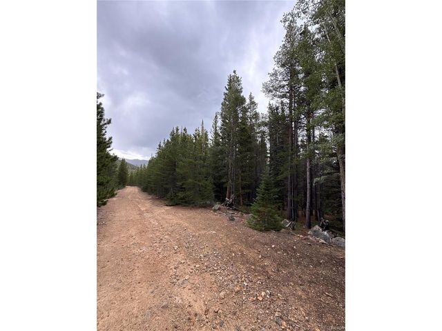 111 Green Ct, Idaho Springs, CO 80452
